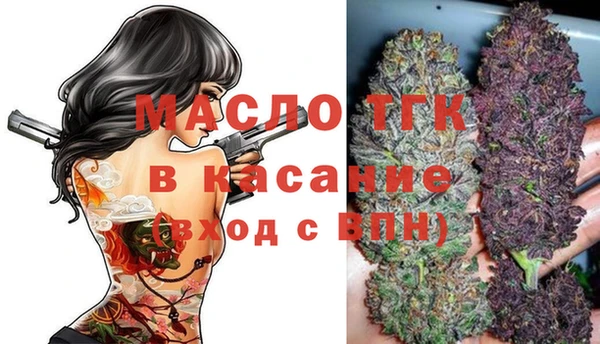 ПСИЛОЦИБИНОВЫЕ ГРИБЫ Заполярный