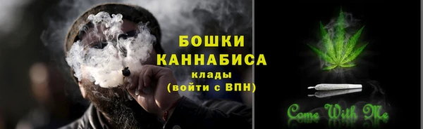2c-b Пестово