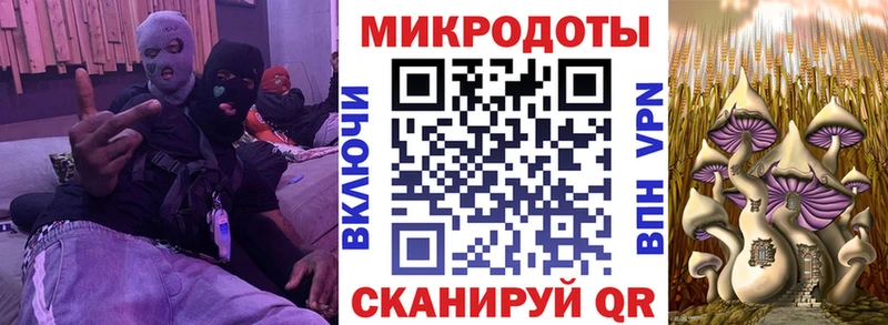 наркошоп  Кяхта  Галлюциногенные грибы ЛСД 