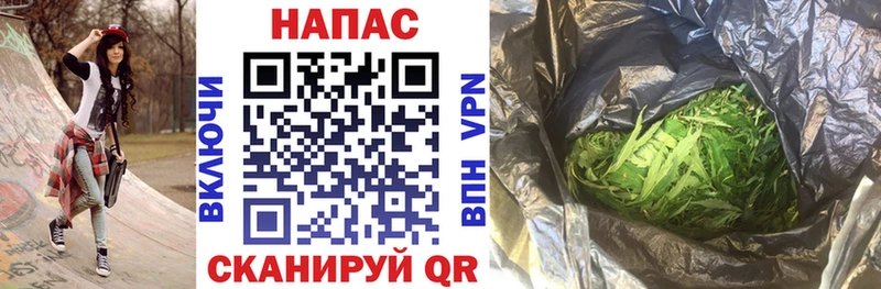 Шишки марихуана конопля  как найти наркотики  Кяхта 